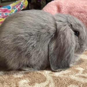 Meet your Posher, Lanora zepeda